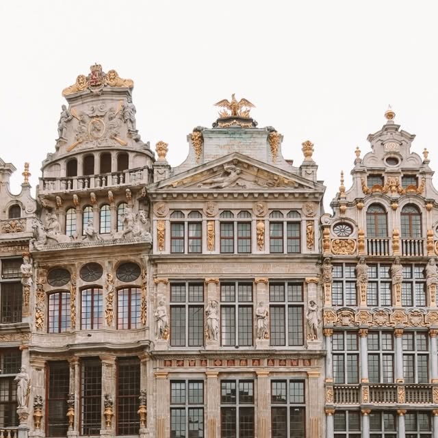 Brussels For Book Lovers thumbnail