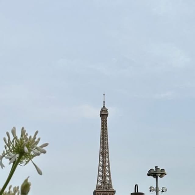Paris Eiffel Tower Dining