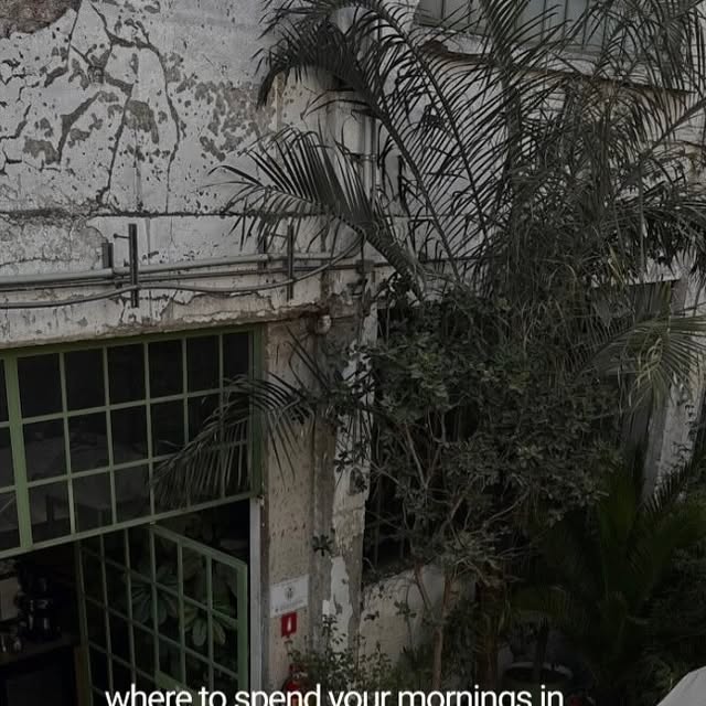 CDMX Cafe Guide thumbnail
