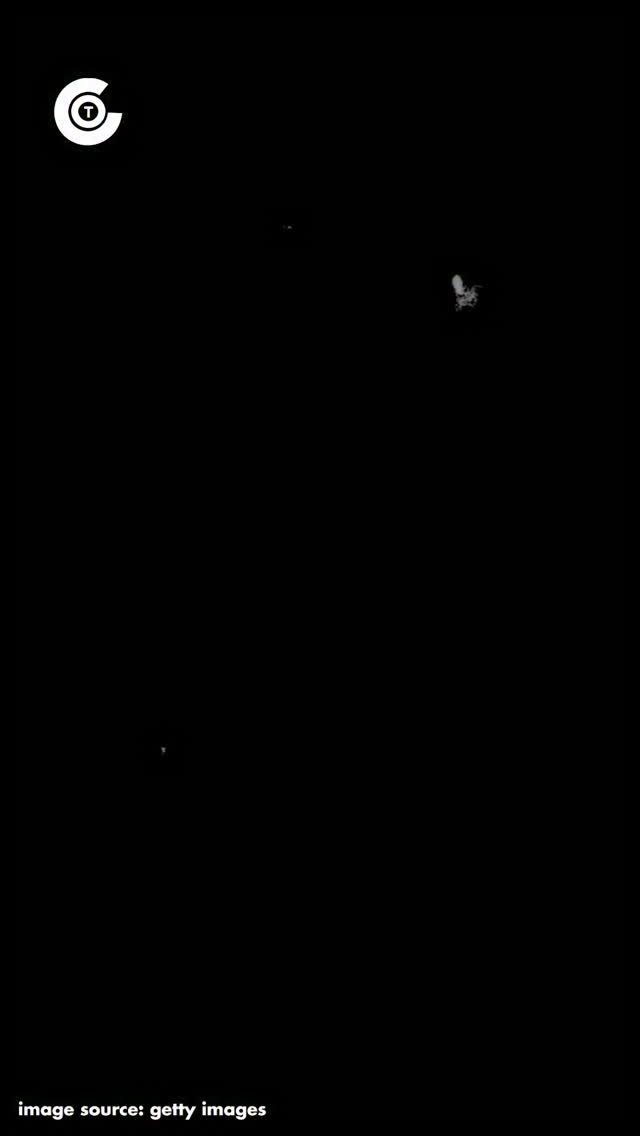 Cricket Icons Motion thumbnail