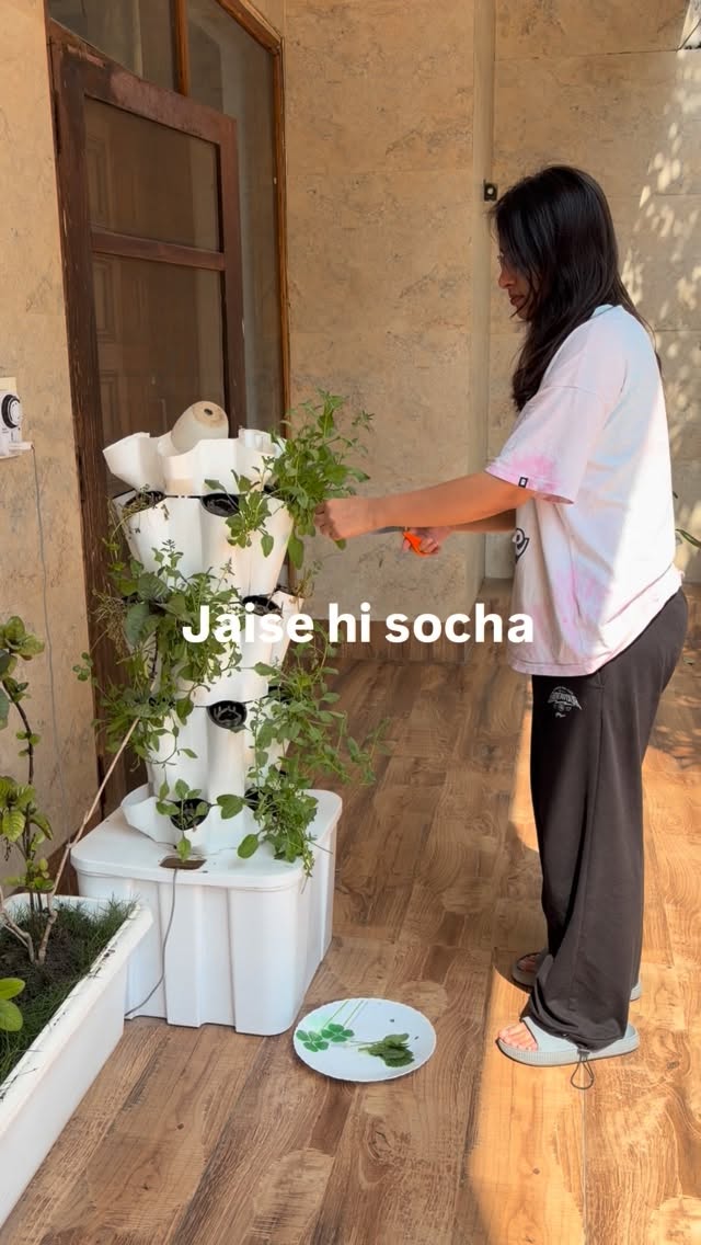 GenZ Cooking Struggles