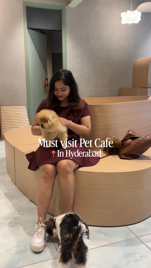 Cutest Hyderabad Pet Cafe