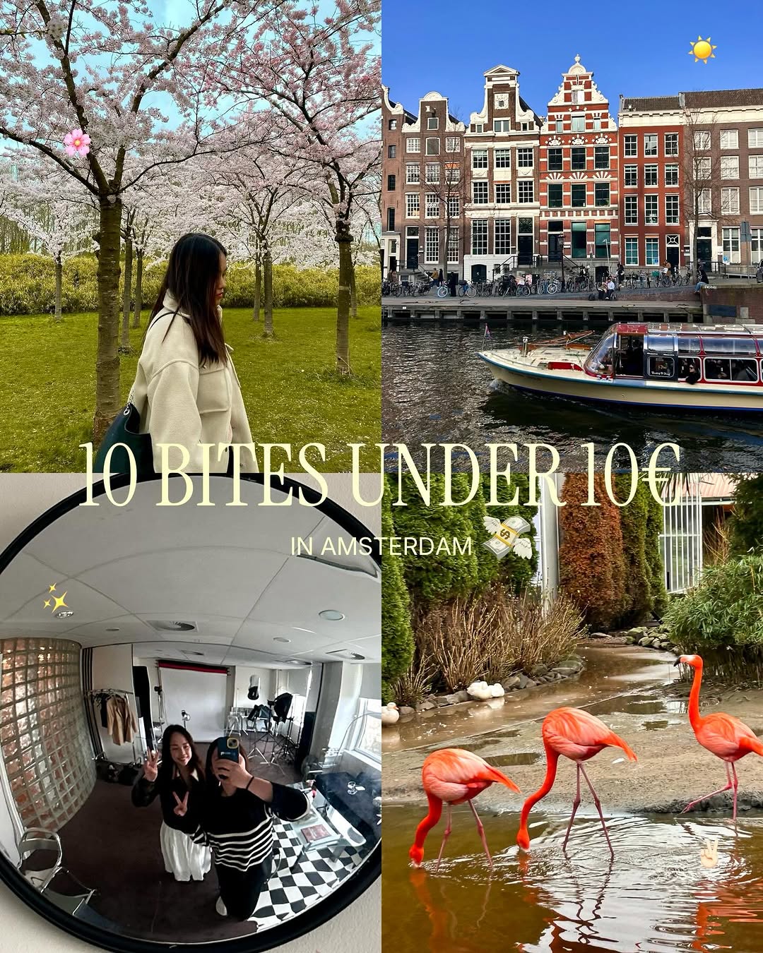 Cheap Amsterdam Food Guide thumbnail
