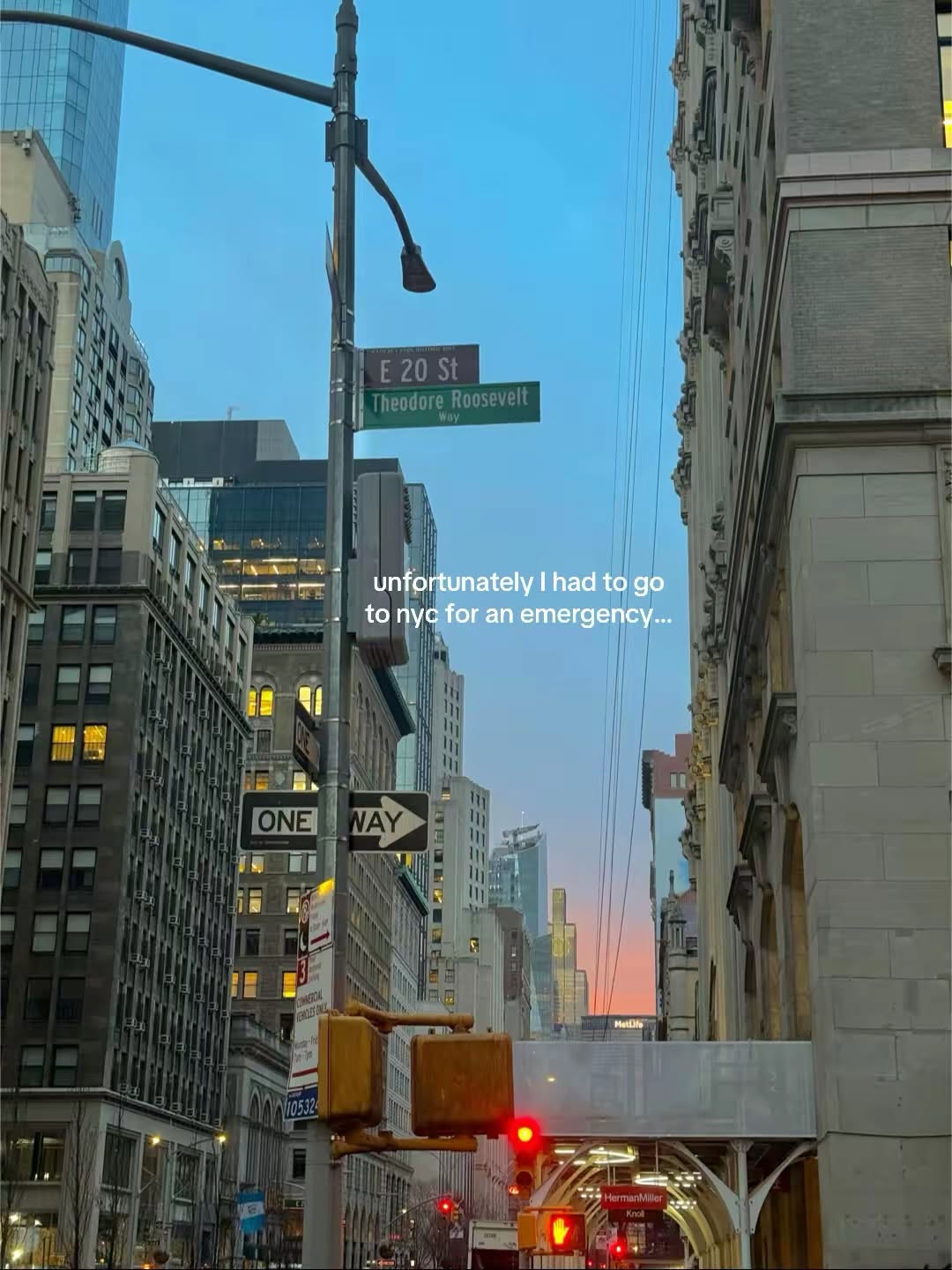 NYC Foodie Emergency