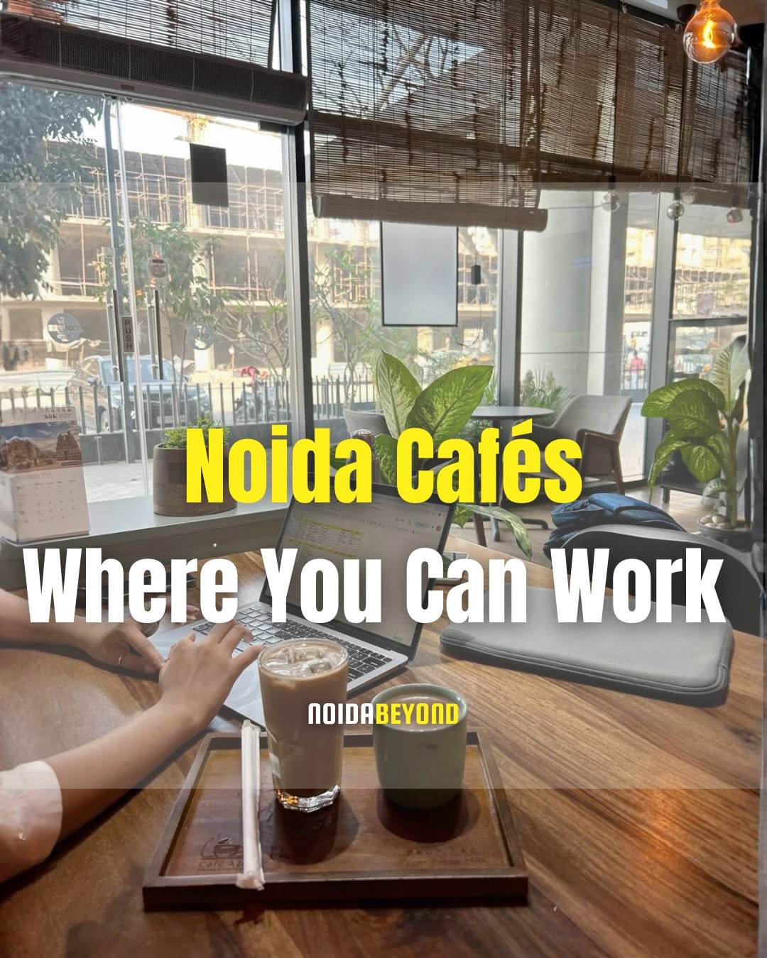 Cozy Noida Workspaces