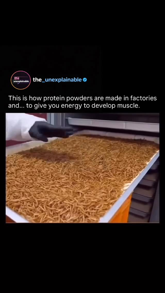 Future Protein Power thumbnail