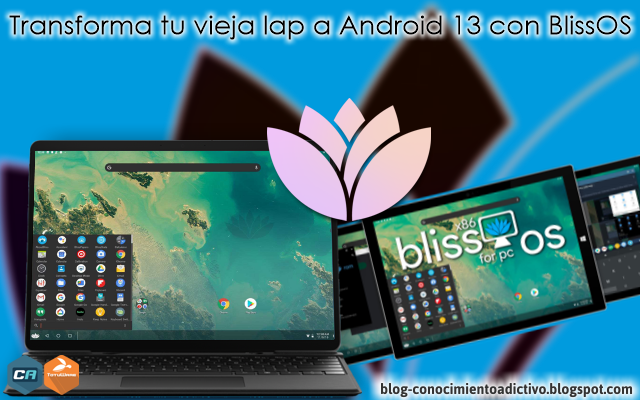 Windows OS Dominance thumbnail