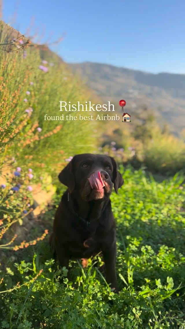 Best Rishikesh Airbnb