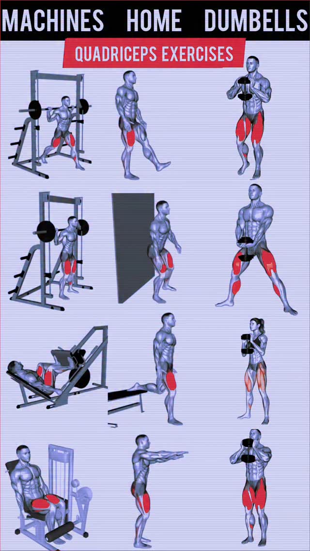 Ultimate Quadriceps Workout Guide thumbnail