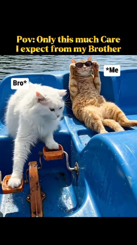 Brother Care Expectations thumbnail