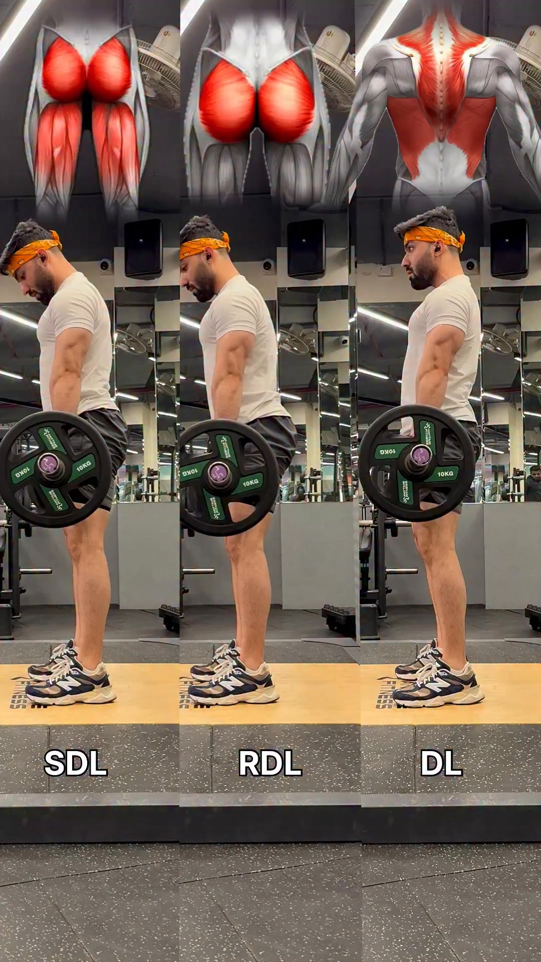 Ultimate Deadlift Guide thumbnail