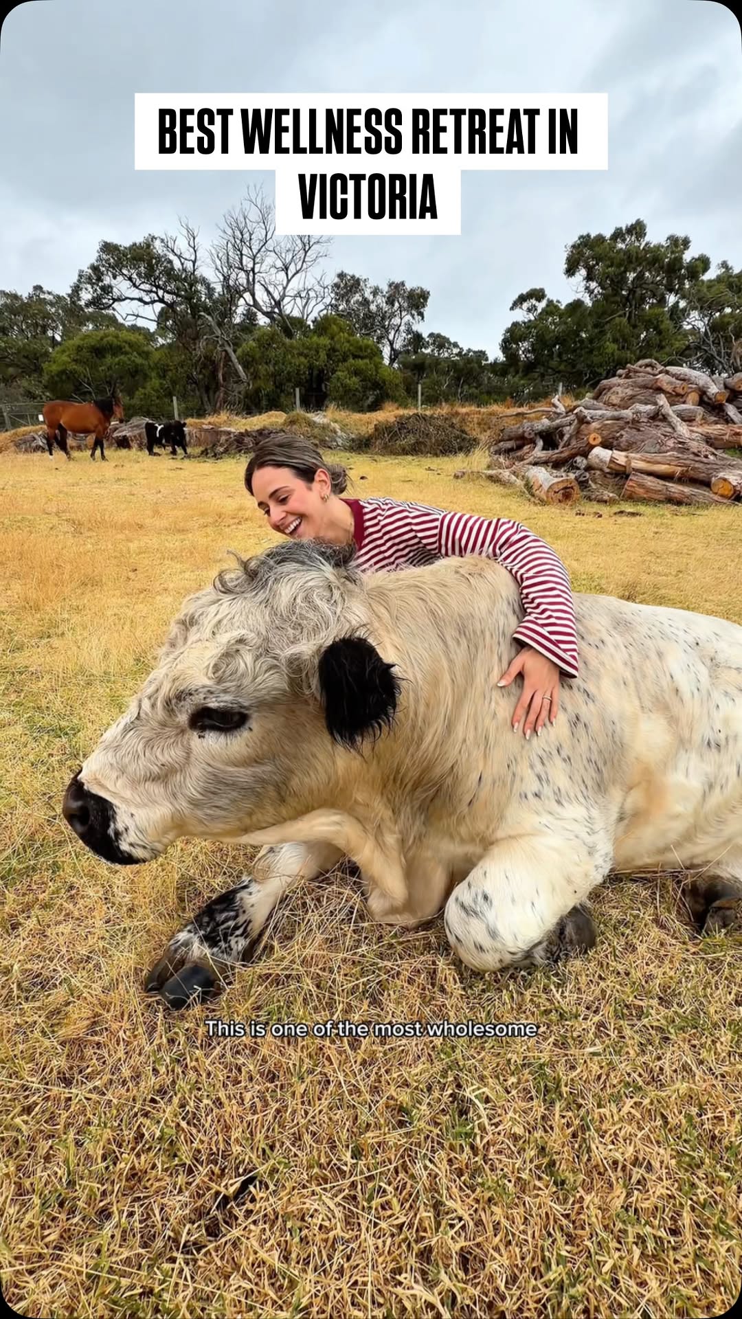 Mornington Wellness Escape thumbnail