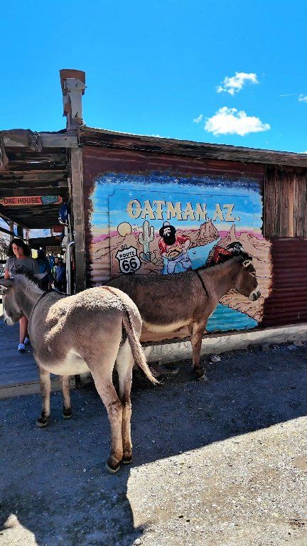 Historic Oatman Adventure thumbnail