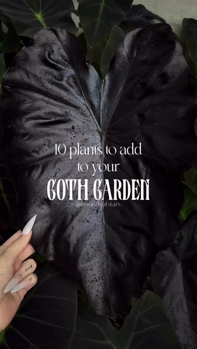 Goth Garden Essentials thumbnail