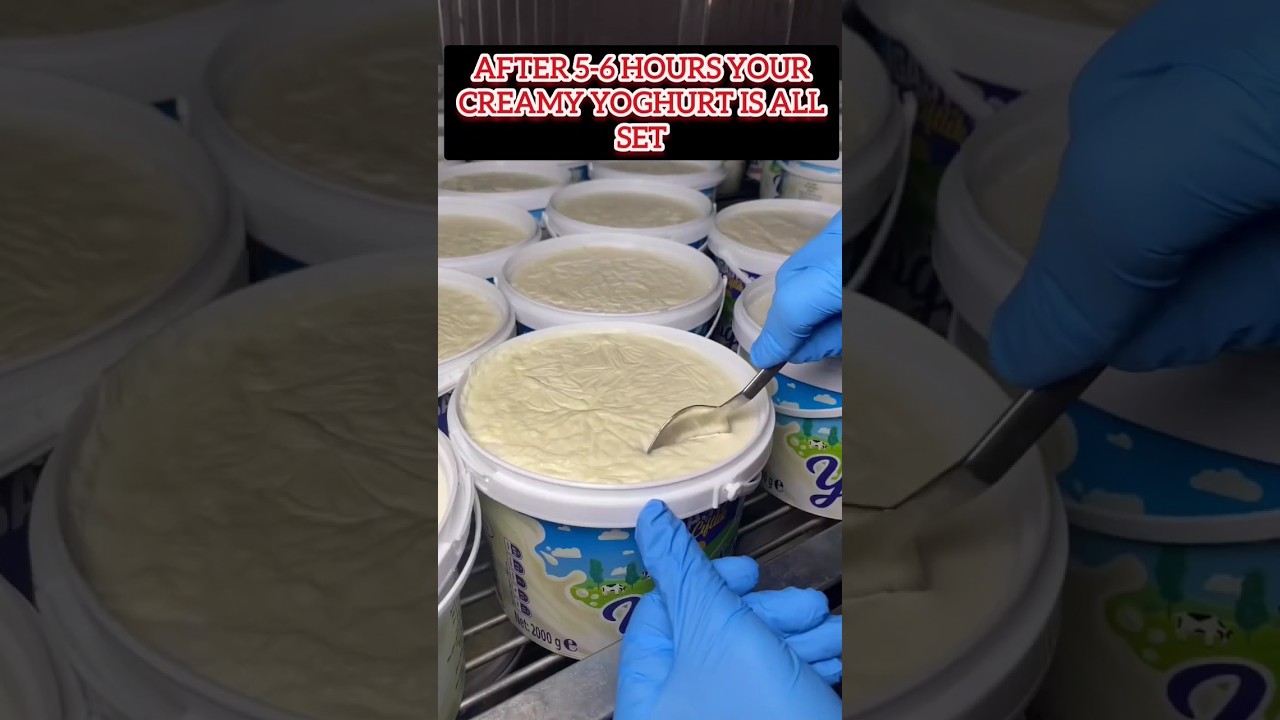 Creamy Yoghurt Success thumbnail