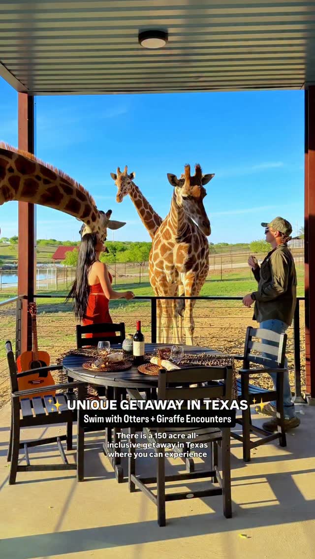 Unique Texas Getaway thumbnail