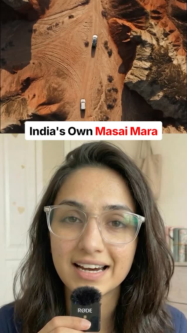 India's Own Masai Mara thumbnail