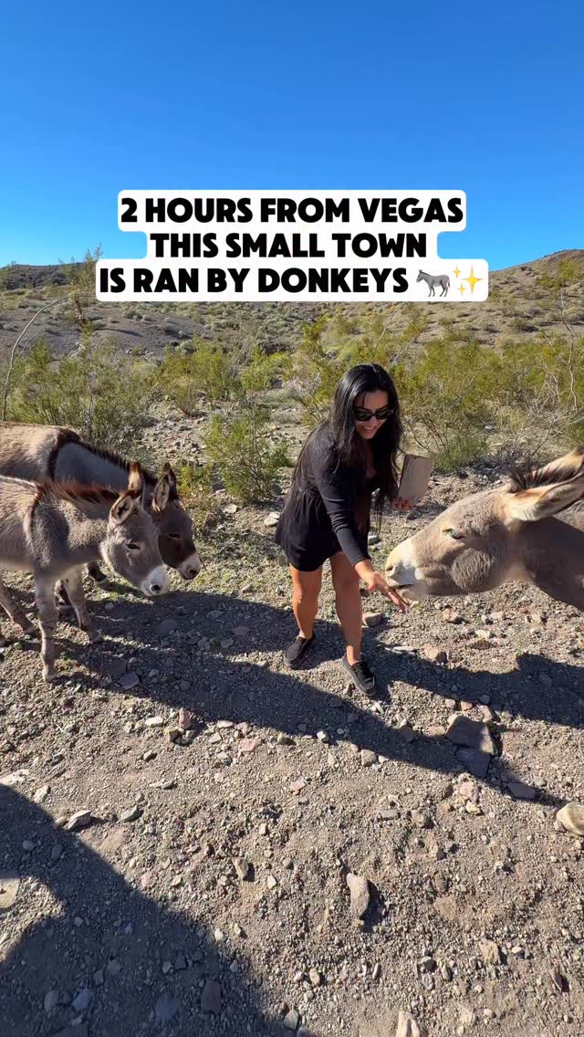 Oatman Donkey Town thumbnail