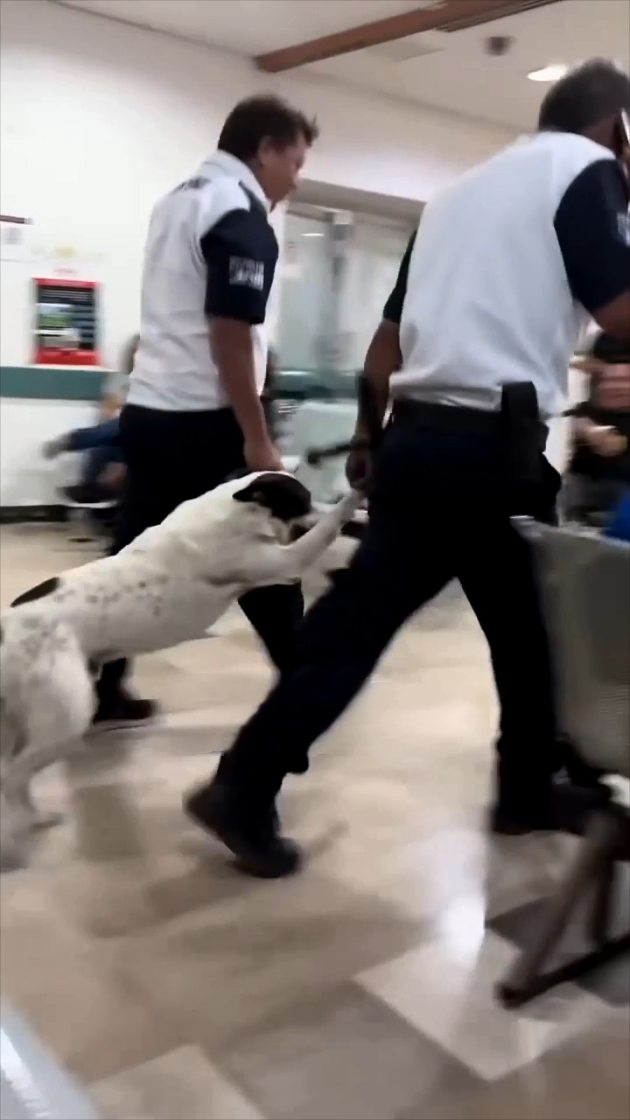 Fast Track Immigration thumbnail