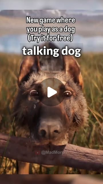 New Dog Adventure Game thumbnail