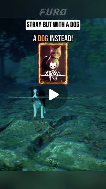 Stray Successor Hounded thumbnail