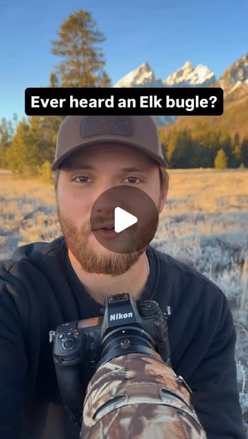 Haunting Elk Bugle thumbnail