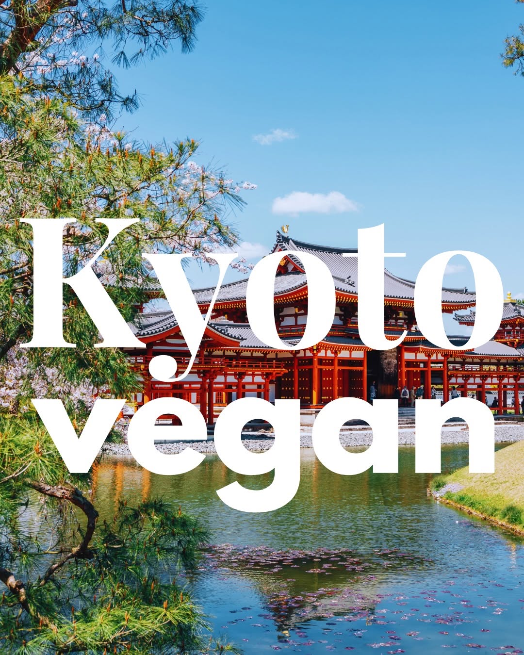Top Kyoto Vegan Spots