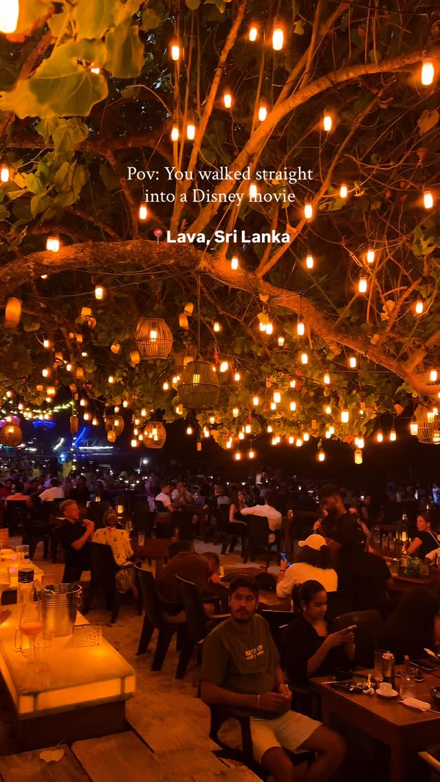 Magical Beach Dinner