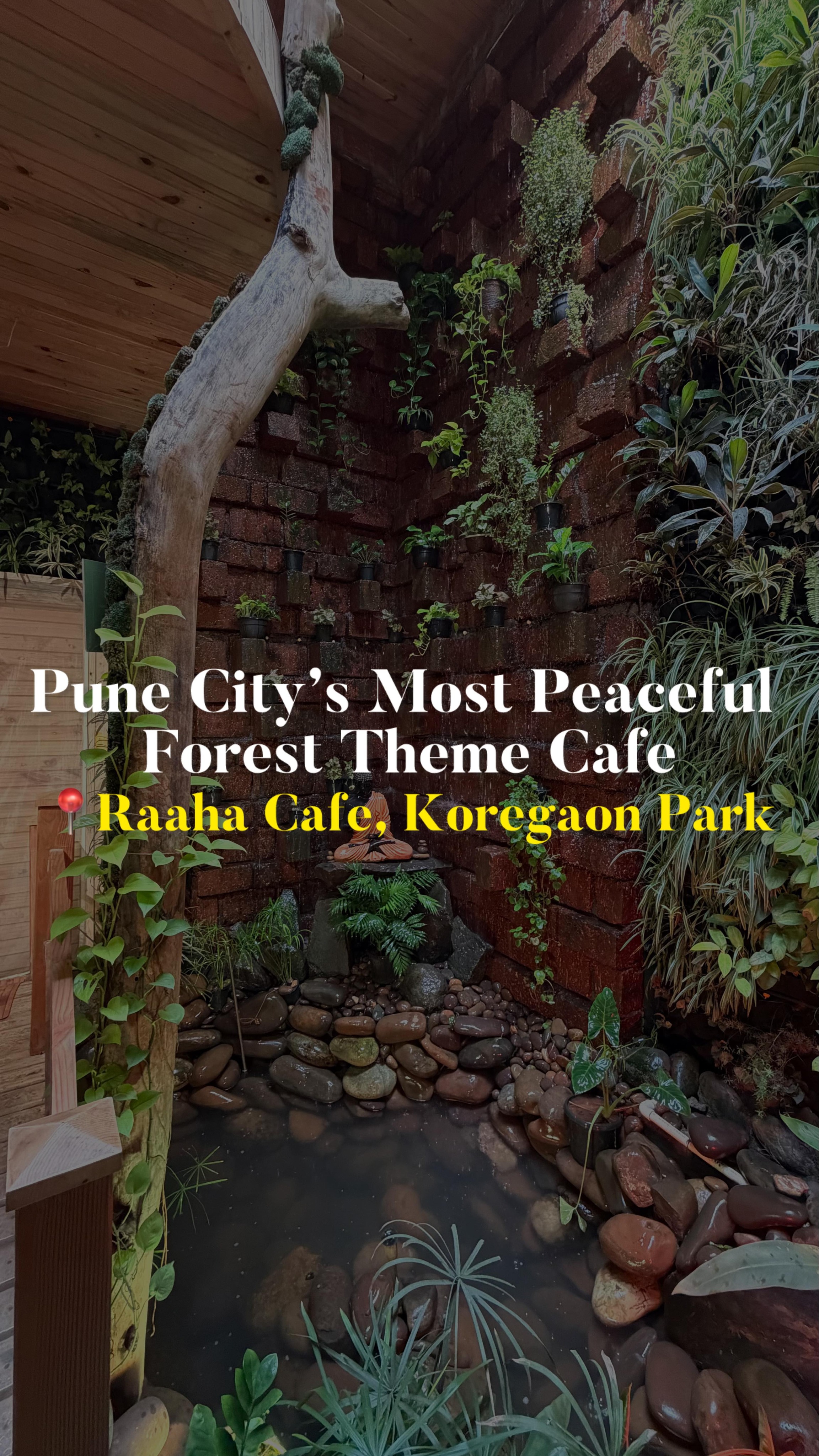 Peaceful Forest Cafe thumbnail